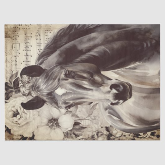 ブラックホース水の色の切り離しティッシュペーパー 薄葉紙 (正面)