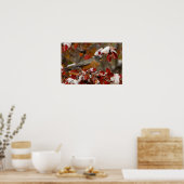 ブラックホーソーンのアメリカンロビン ポスター (キッチン)