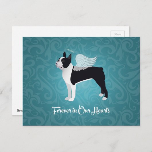 ブラックボストンテリア犬エンジェルPETメモリアル ポストカード (正面/裏面)