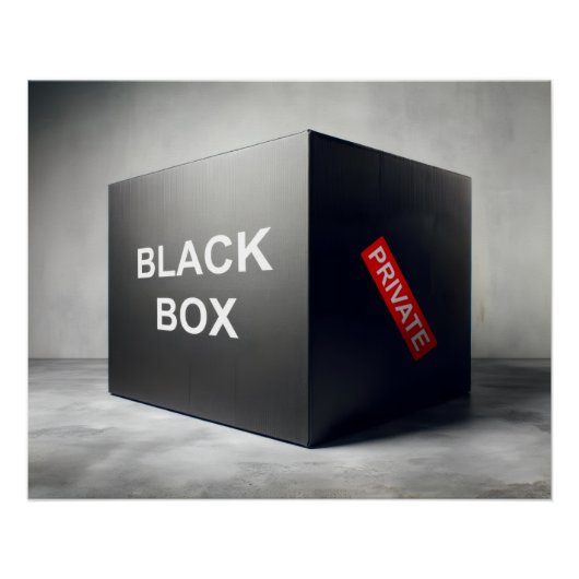 ブラックボックス ポスター (正面)