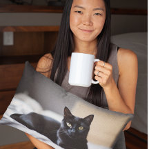 ブラックボンベイ猫コンパニオン