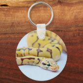 ブラックボールとイエローボールPython 2 キーホルダー (正面)