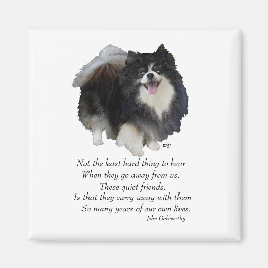 ブラックポメラニア犬キープサケ マグネット (正面)