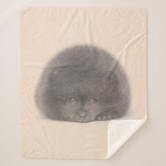 ブラックポメラニア犬パピーウォーターカラー シェルパブランケット (正面)