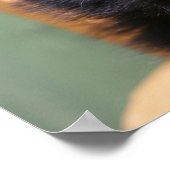 ブラックポメラニア犬パピー ポスター (角)