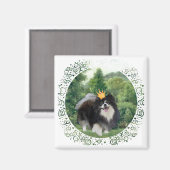 ブラックポメラニア犬プリンス マグネット (正面/裏面)