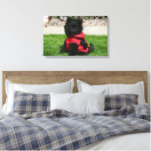 ブラックポメラニア犬子犬カメラを見て キャンバスプリント (インサイチュ (寝室))