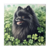 ブラックポメラニア犬St patricks day タイル (正面)