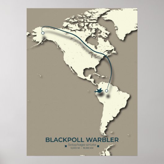 ブラックポールウグイスの渡り鳥地図 – ミニマリスト ポスター (正面)