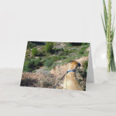 ブラックマウスキュードッグポートレート カード (正面)