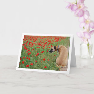 ブラックマウスcur犬とポピーの花 カード