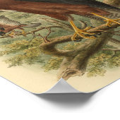 ブラックマントルゴショックバードカラーヴィンテージプリント ポスター (角)