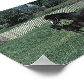 ブラックマーレとフォール ポスター (角)