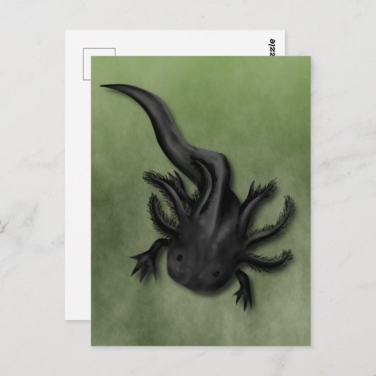 ブラックメラノイドアクソロテルアート ポストカード (正面/裏面)