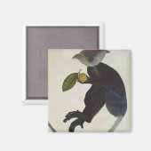 ブラックモンキー マグネット (正面/裏面)