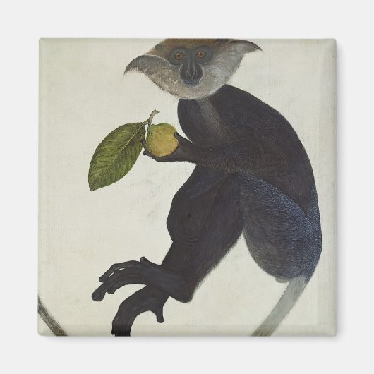 ブラックモンキー マグネット (正面)