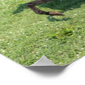 ブラックモーガンスタリオンマネとテールフロー ポスター (角)