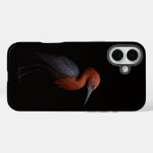 ブラックラグジュアリーiPhone 16 Plus、Reddish Egret(ベニシギサギ) Case-Mate iPhoneケース (裏面 (横))