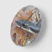 ブラックラットスネーク – コバコブレタ ラウンド壁時計 (傾斜)