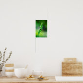 ブラックラディバード ポスター (キッチン)