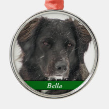 ブラックラブラドールの犬のペット写真名