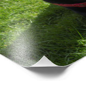 ブラックラブラドールの美しいプリント写真 フォトプリント            (角)