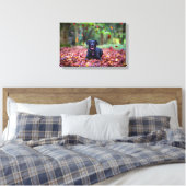 ブラックラブラドールイン紅葉 キャンバスプリント (インサイチュ (寝室))