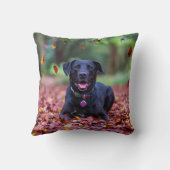 ブラックラブラドールイン紅葉 クッション (裏面)