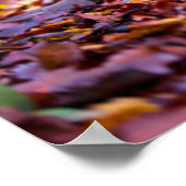 ブラックラブラドールイン紅葉 ポスター (角)