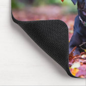 ブラックラブラドールイン紅葉 マウスパッド (コーナー)