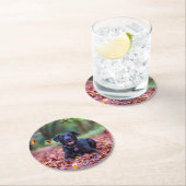 ブラックラブラドールイン紅葉 ラウンドペーパーコースター (インサイチュ)