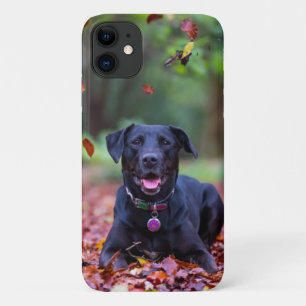ブラックラブラドールイン紅葉 iPhone 11 ケース