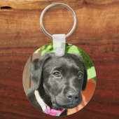 ブラックラブラドールキーチェーン キーホルダー (正面)