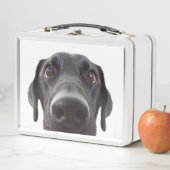 ブラックラブラドールクローズアップポートレート メタルランチボックス (インサイチュ)