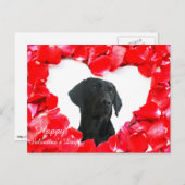 ブラックラブラドールドッグバラハート写真はがき シーズンポストカード (正面/裏面)