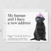 ブラックラブラドールドッグ移動 案内状 (正面)