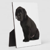ブラックラブラドールパピー フォトプラーク (側面)