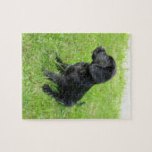 ブラックラブラドールリトリエバーオングラス ジグソーパズル (横)