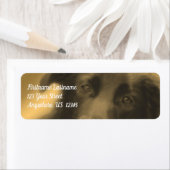 ブラックラブラドールリトリエバードッグアドレス ラベル (インサイチュ)