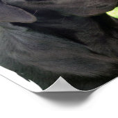 ブラックラブラドールレトリエバードッグポスタープリント ポスター (角)