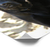 ブラックラブラドールレトリエバードッグ ポスター (角)