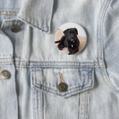 ブラックラブラドールレトリエバーパピー 缶バッジ (インサイチュ)