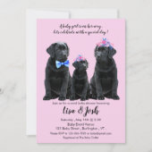 ブラックラブラドールレトリエバーベビーシャワー招待状 案内状 (正面)