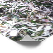 ブラックラブラドールレトリエバーポスター ポスター (角)