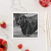 ブラックラブラドールレトリバー水中 スタンダードカクテルナプキン (インサイチュ)