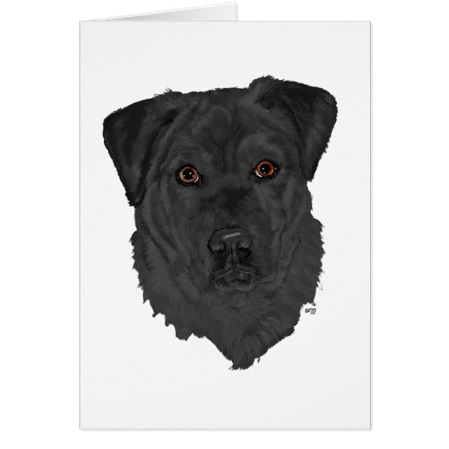 ブラックラブラドールレトリバー (正面)