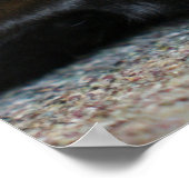 ブラックラブラドールレトリバー ポスター (角)