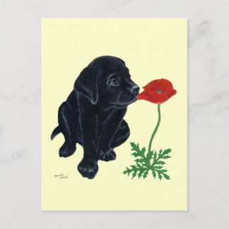 ブラックラブラドール子犬 ポストカード