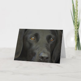 ブラックラブラドール犬 カード
