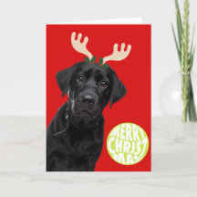 ブラックラブラドール犬 ペットクリスマステニスボール  楽しい